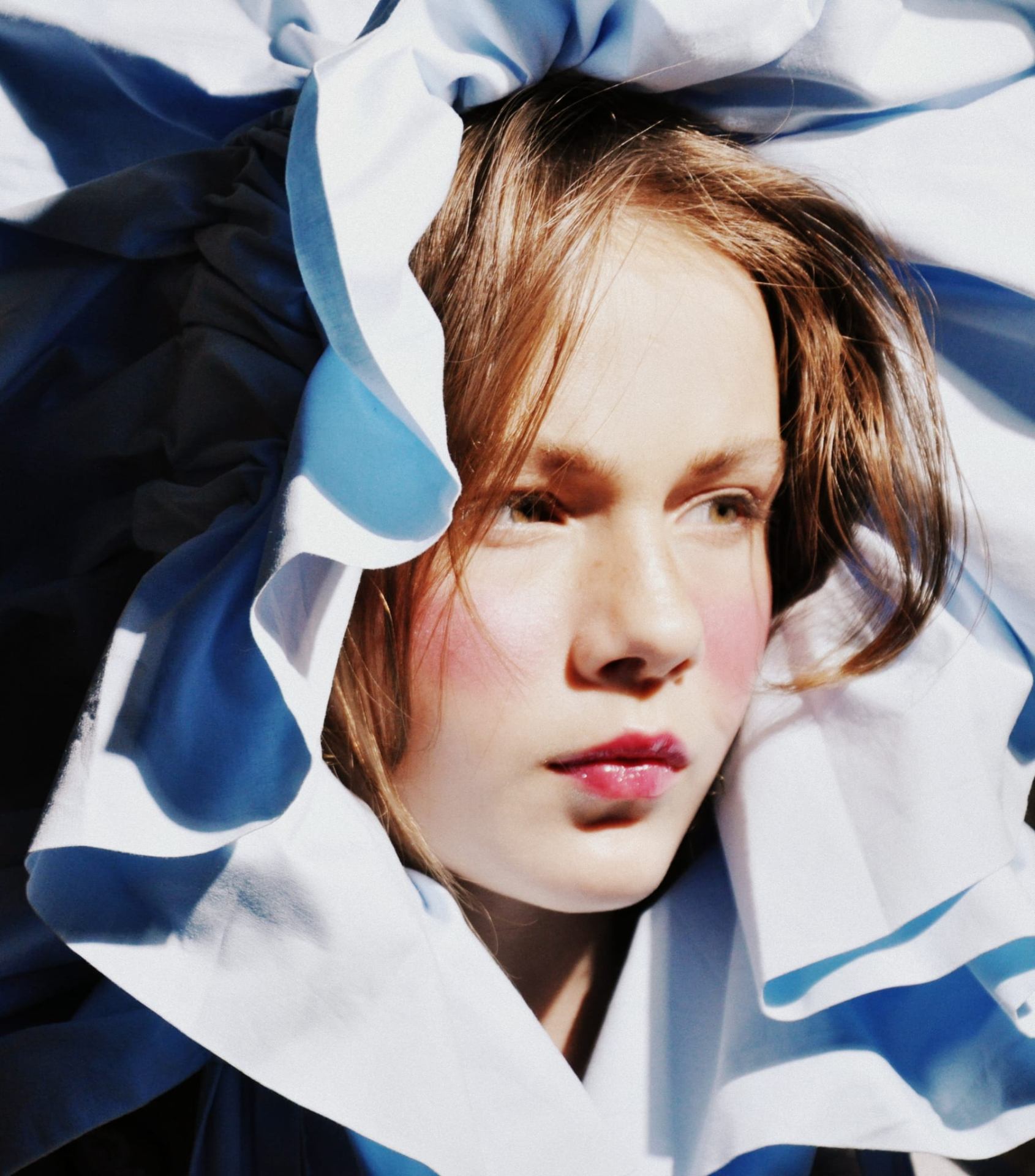 Cyanotype Bloom — Golden Horizons